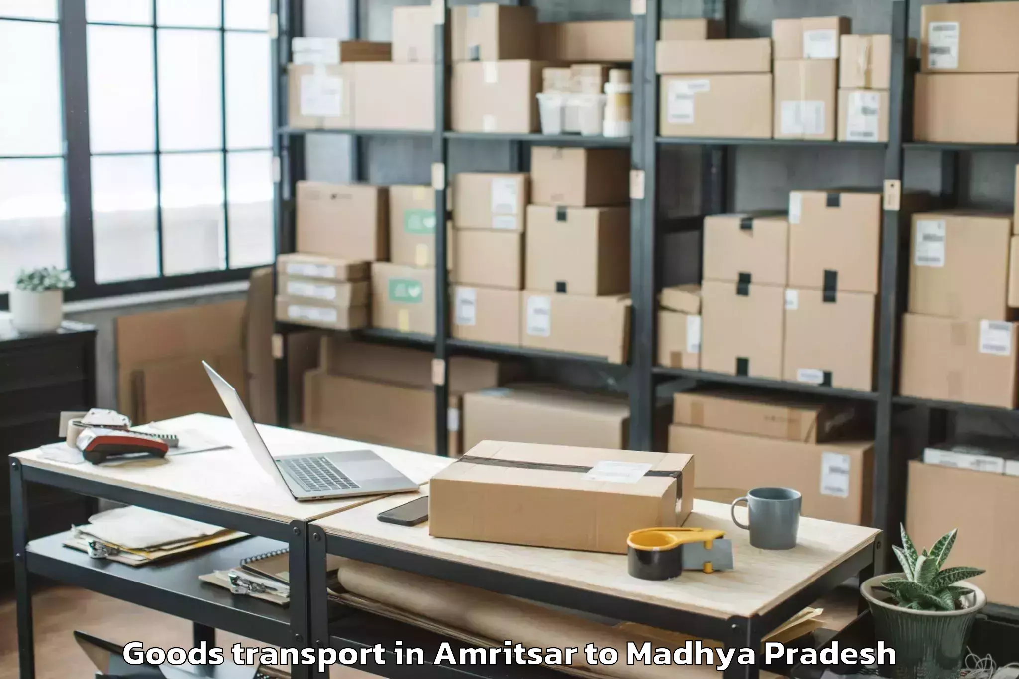 Top Amritsar to Harpalpur Goods Transport Available